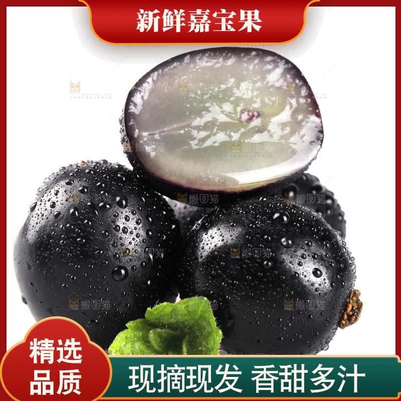 白底上的台湾嘉宝果