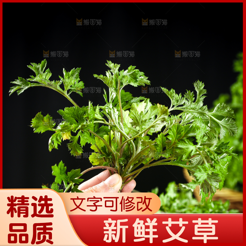 手里拿着艾草叶