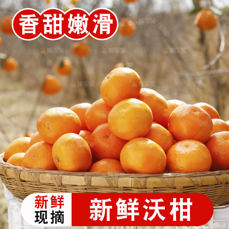 篮子里装着新鲜沃柑