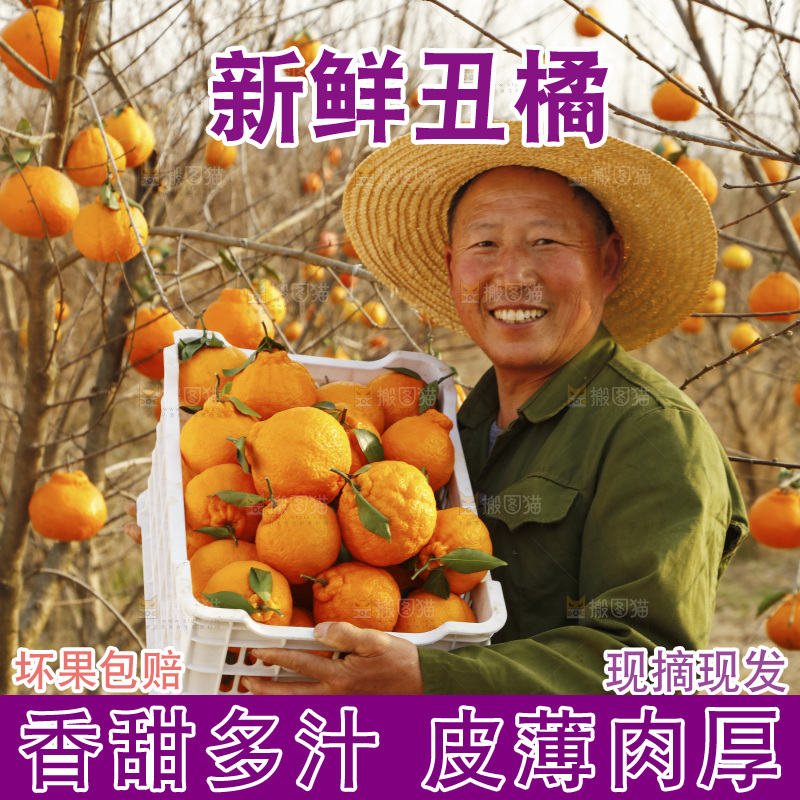 果雷锋农民手里抱着一框四川丑橘