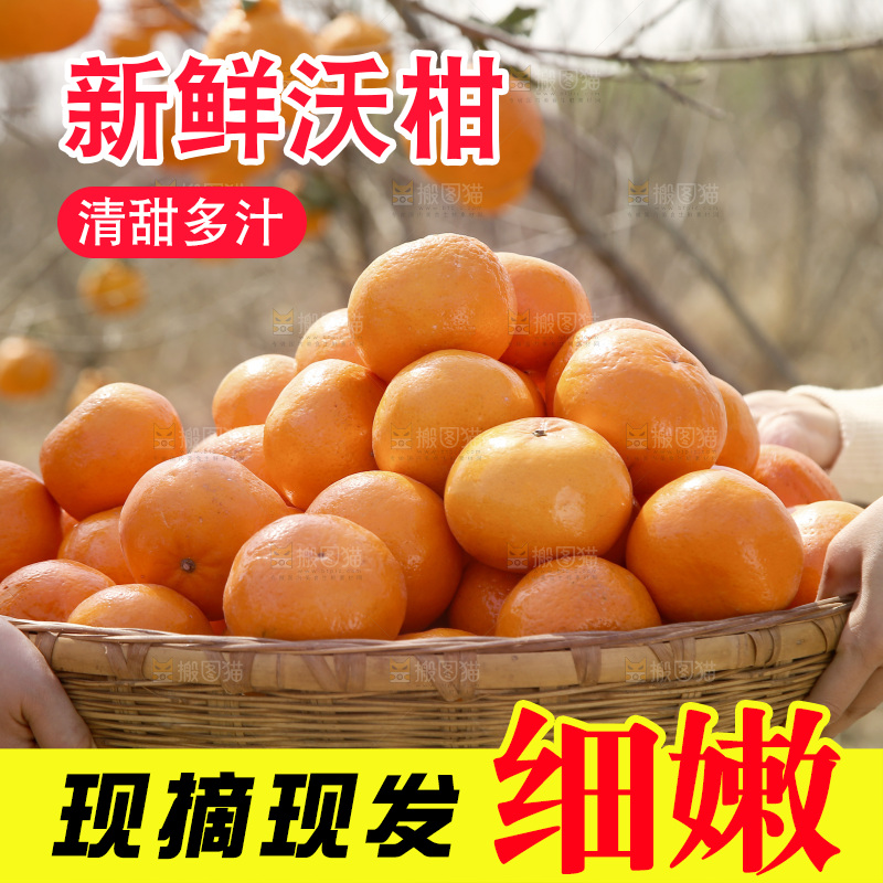 抬着一篮子武鸣沃柑