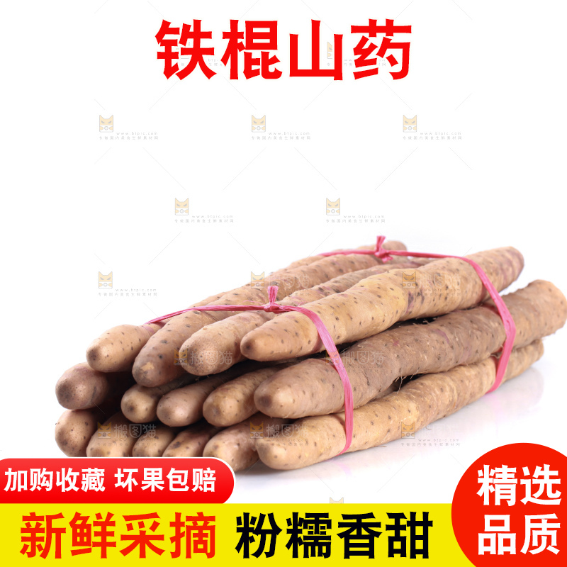 白底上的新鲜铁棍山药