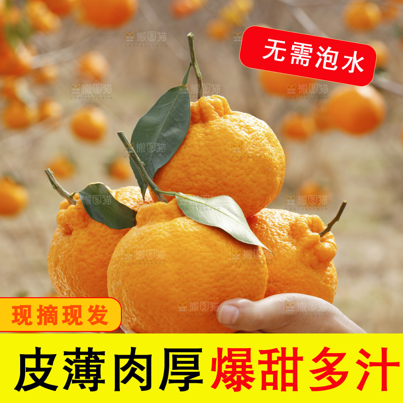 手里拿着丑八怪