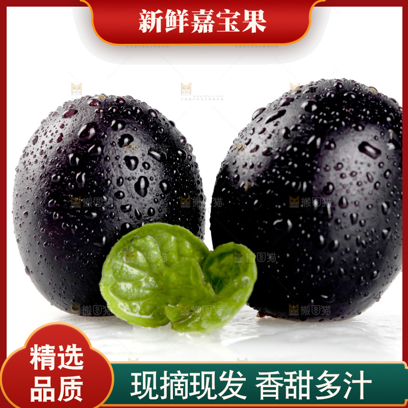 白底上的台湾嘉宝果