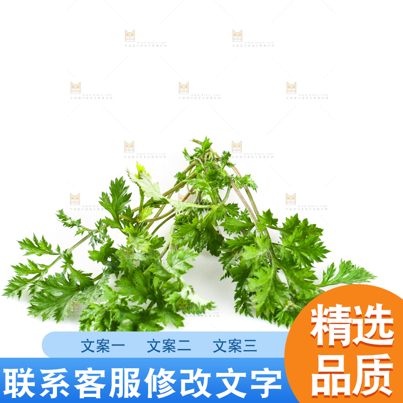 白底上的艾蒿草