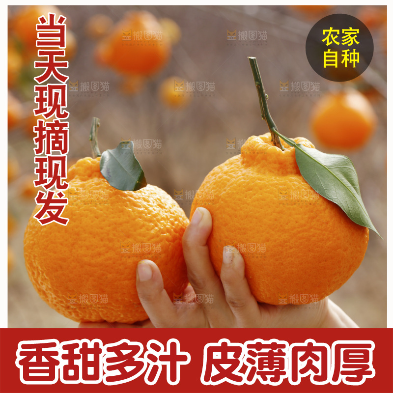 手里拿着丑八怪