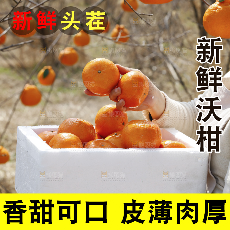 手里端着一箱武鸣沃柑