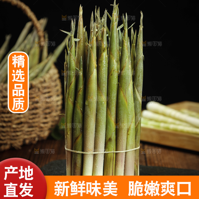 黑石板上的小竹笋