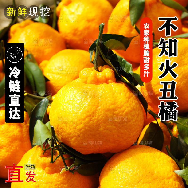篮子里装着不知火丑橘