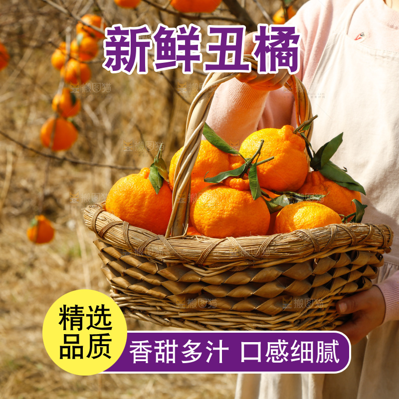 手里提着一篮不知火丑橘