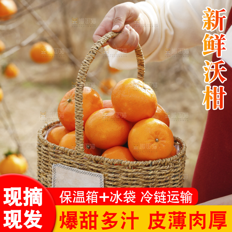 手里端着一篮广西武鸣沃柑
