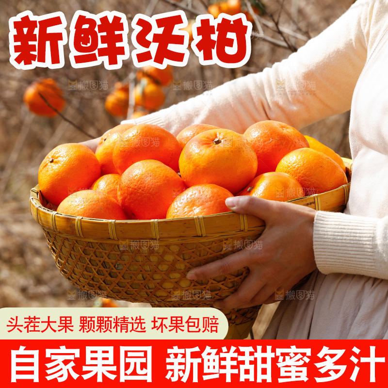 手里端着一篮新鲜沃柑