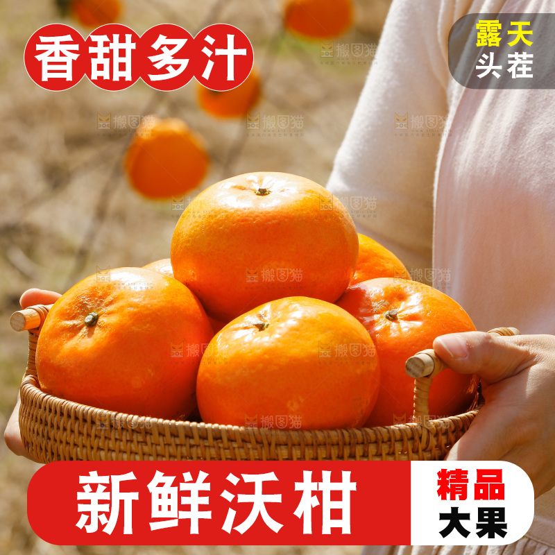 手里端着一篮新鲜沃柑