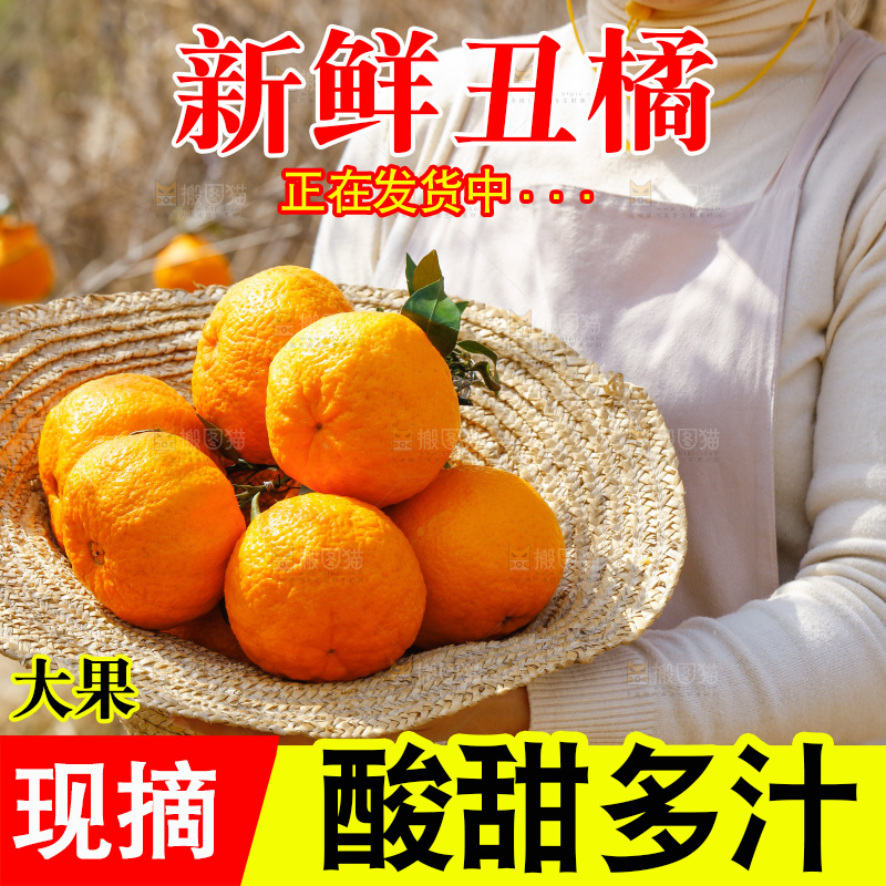 草帽子里放着新鲜丑橘