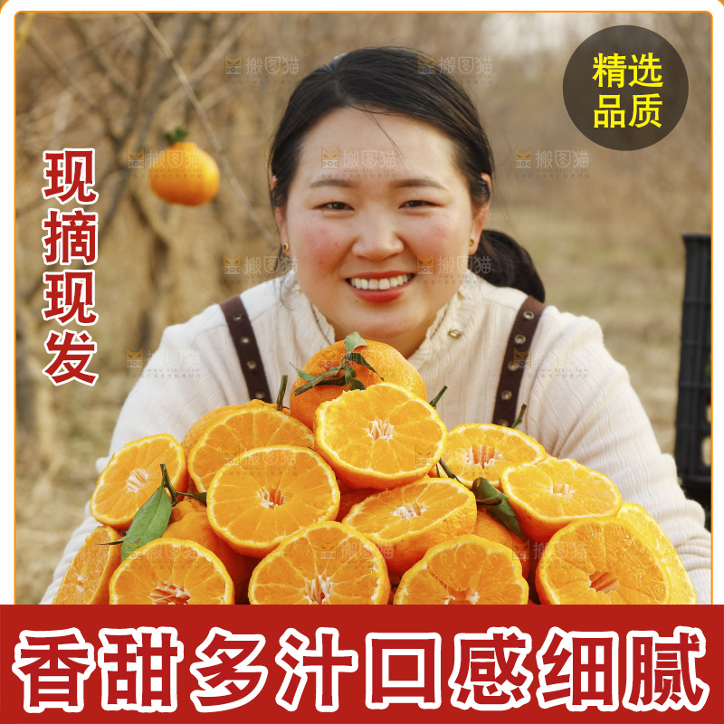 果园女人手里端着一篮耙耙柑