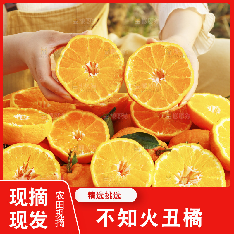 手里拿着切开的不知火丑橘