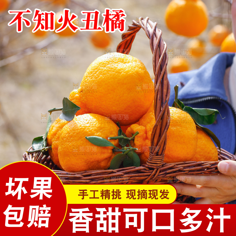 手里端着一篮不知火丑橘