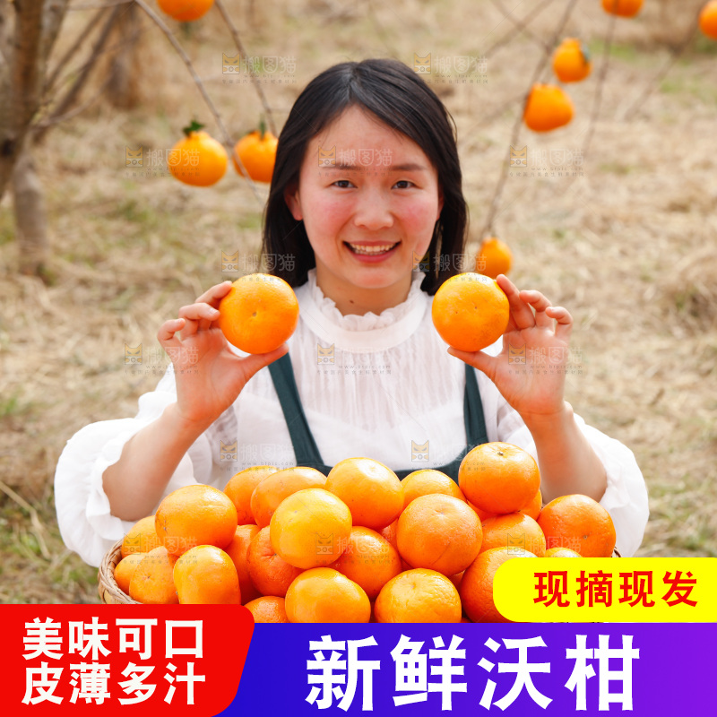 果园女孩手里拿着广西沃柑