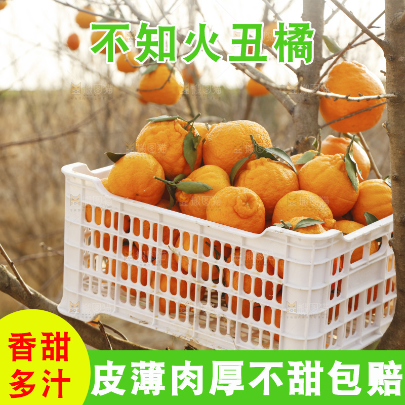框子里装着丑橘