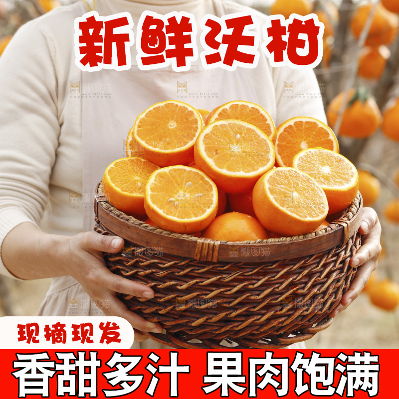 手里端着一篮武鸣沃柑
