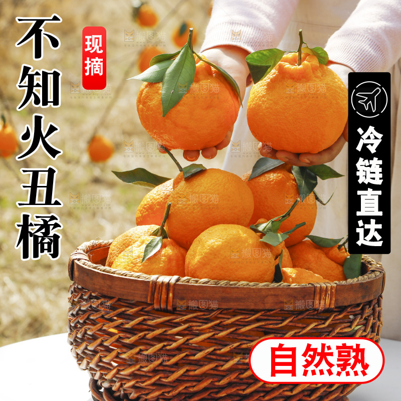 手里拿着丑八怪