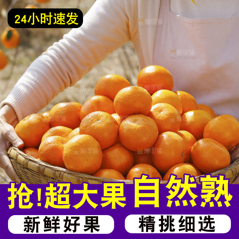 手里端着一篮新鲜沃柑