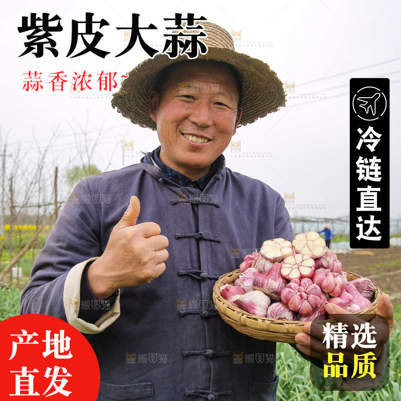 农民手里端着一篮紫皮大蒜
