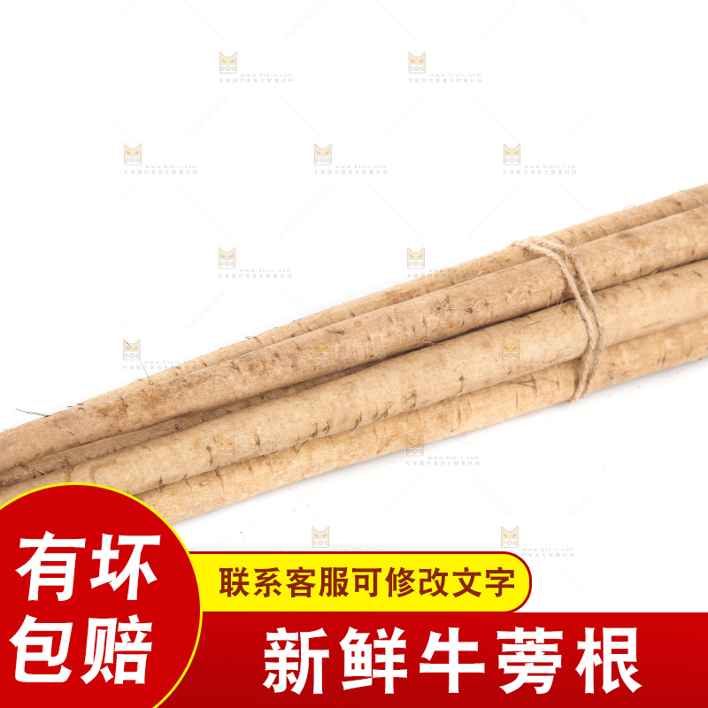 白底上的牛蒡根
