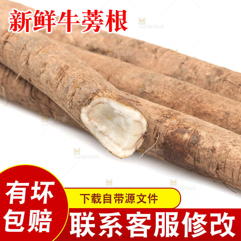 白底上放着鲜牛蒡