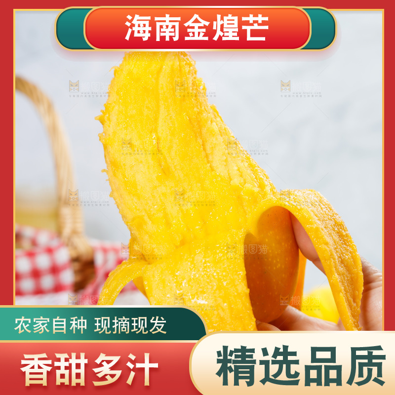 手里拿着金煌芒果