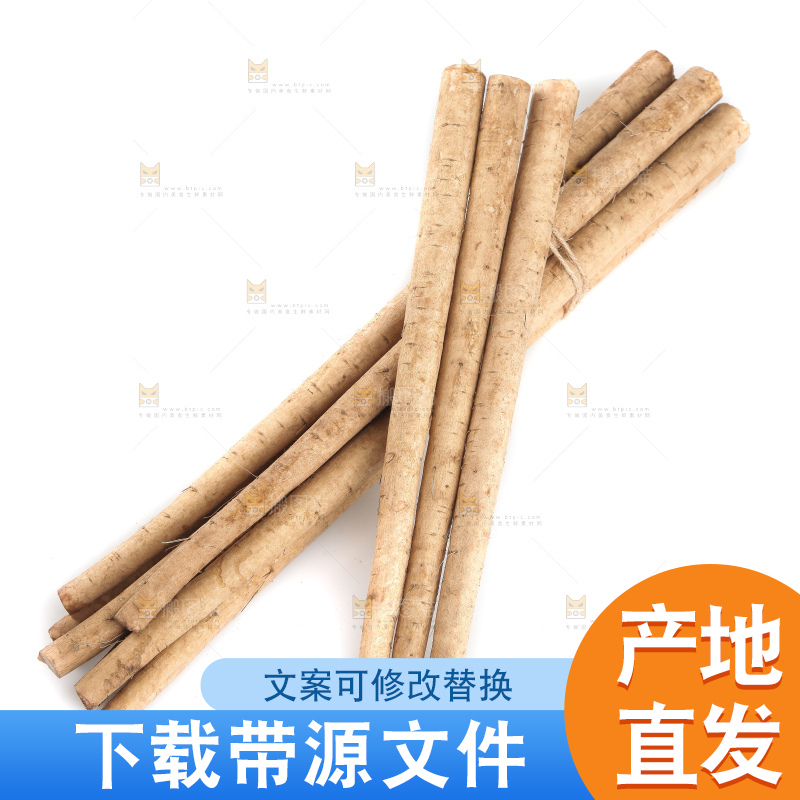 白底上的新鲜牛蒡根