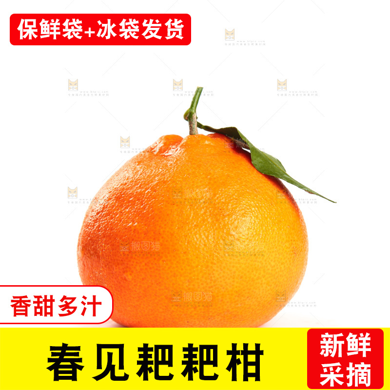白底上的耙耙柑