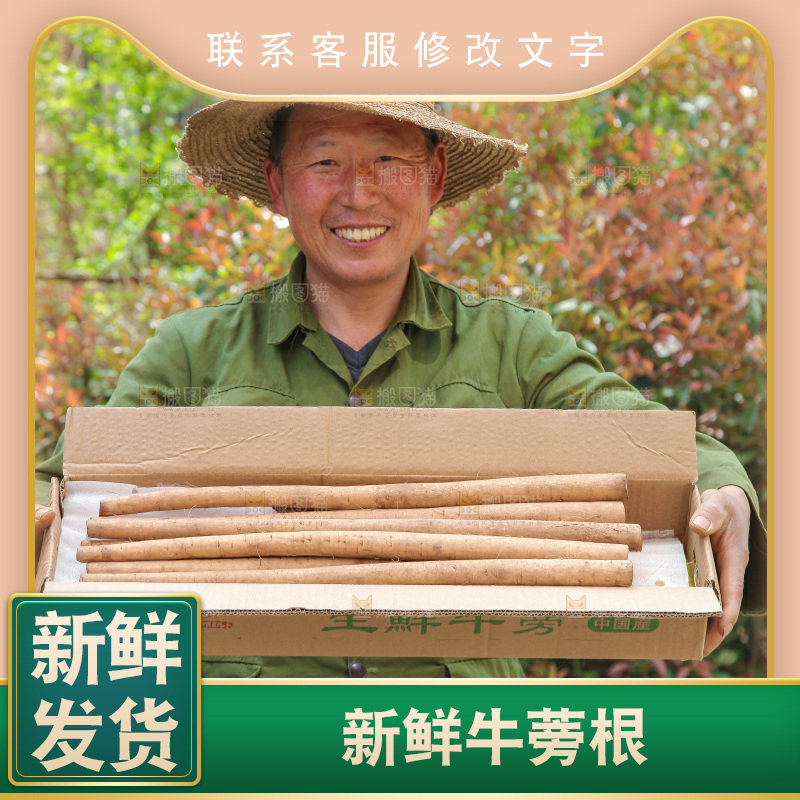农民手里拿着一箱牛蒡根