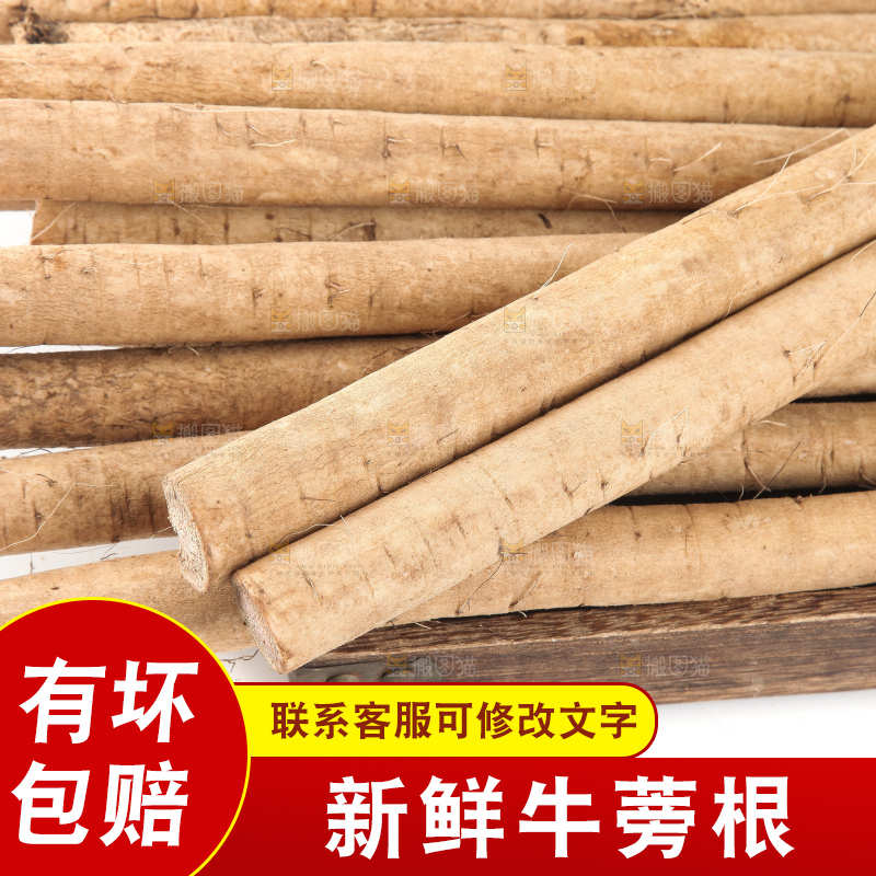 白底上的牛蒡根