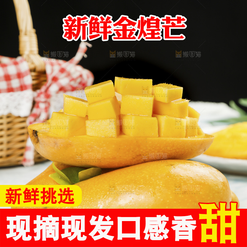 白石板上的海南金煌芒