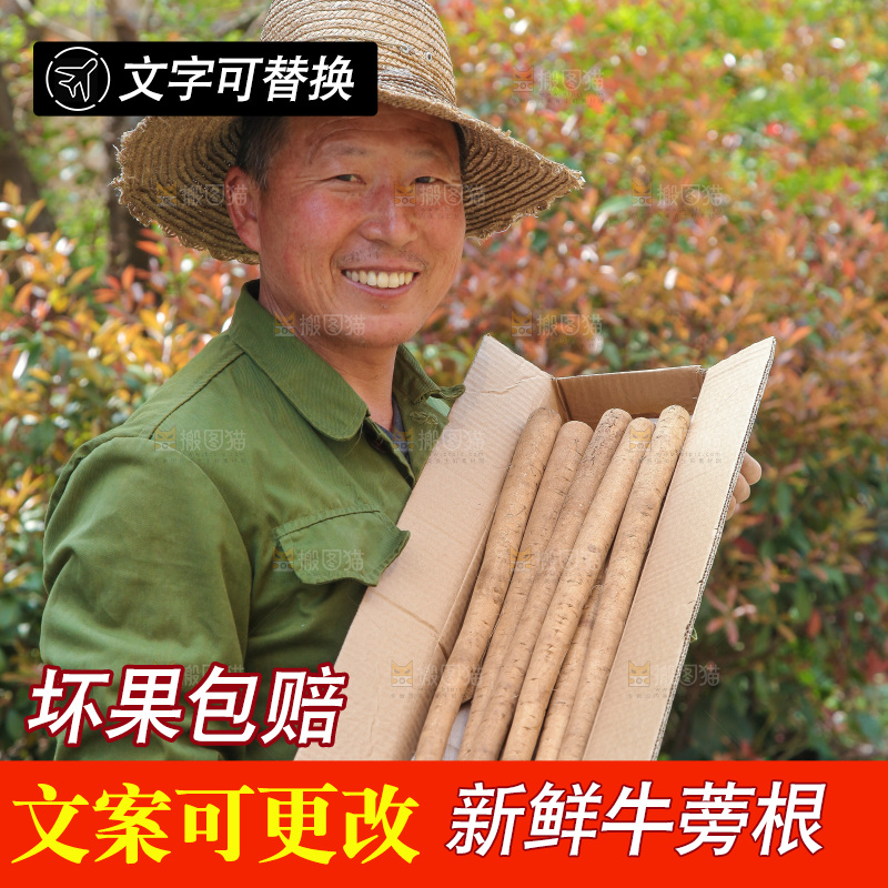 农民手里拿着一箱牛蒡根