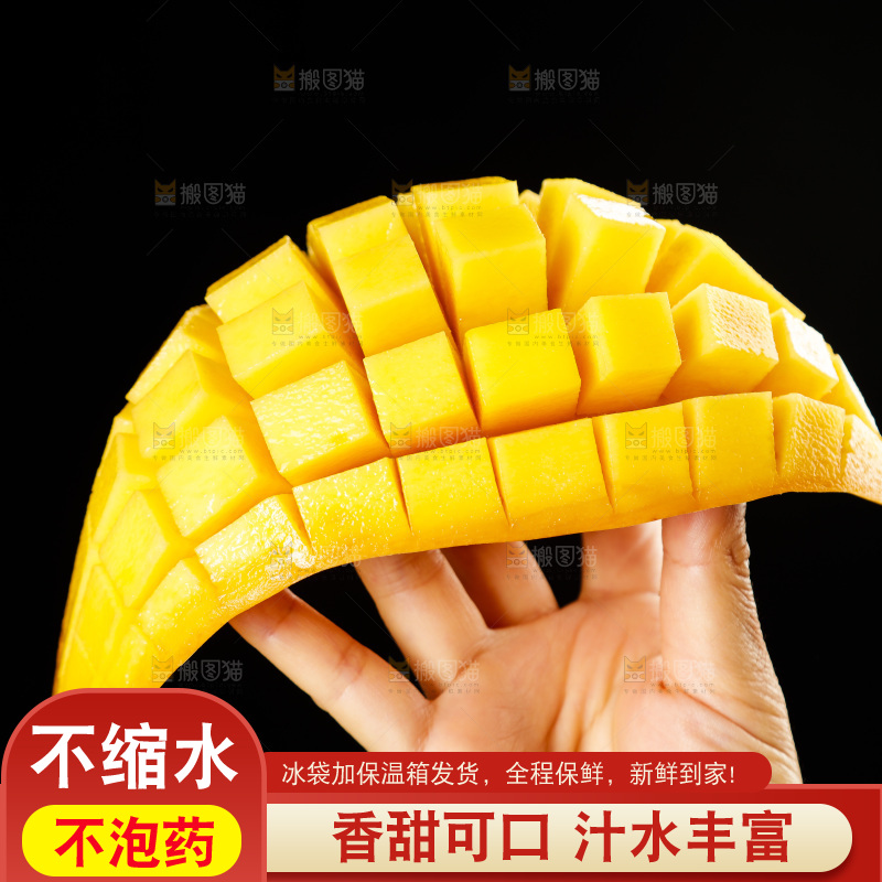 手里拿着金煌水仙芒
