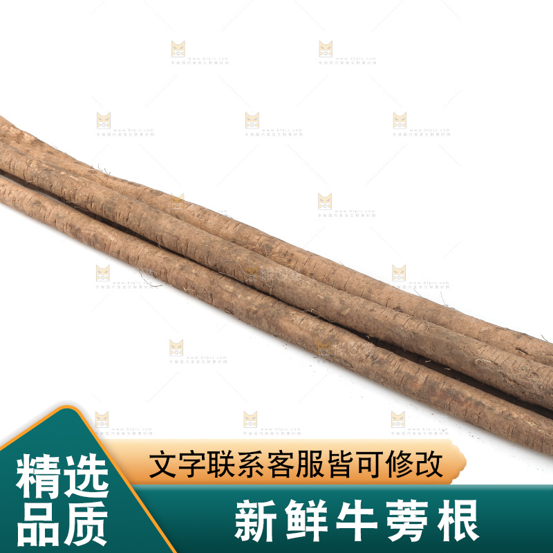 白底上的牛蒡根