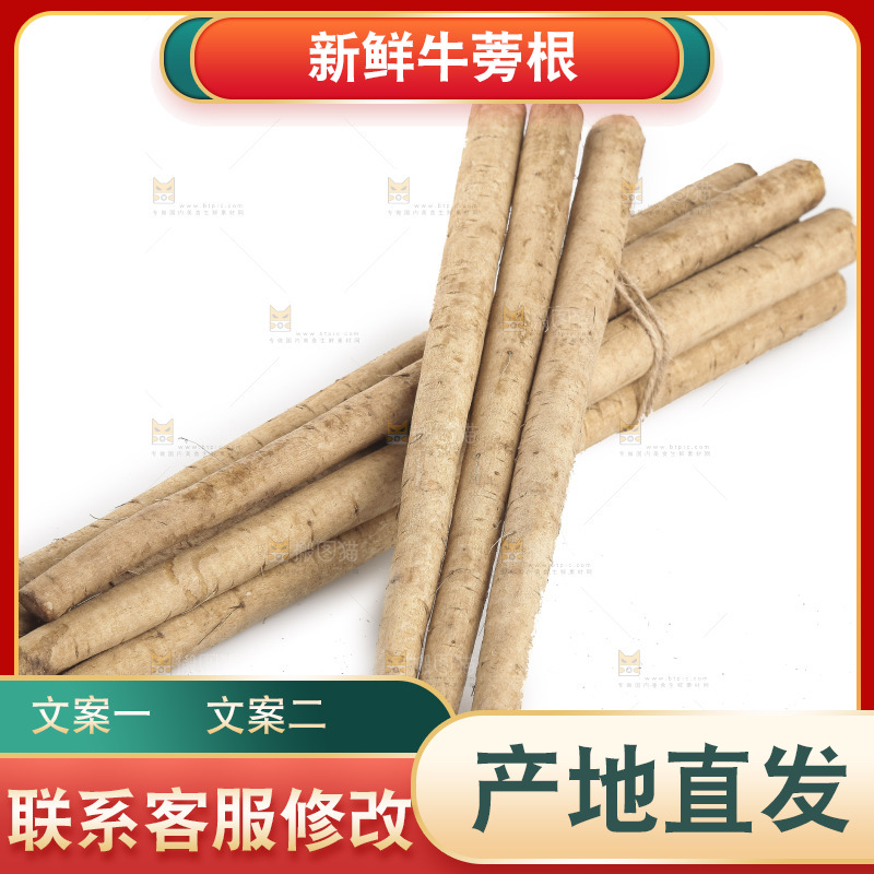 白底上的牛蒡根