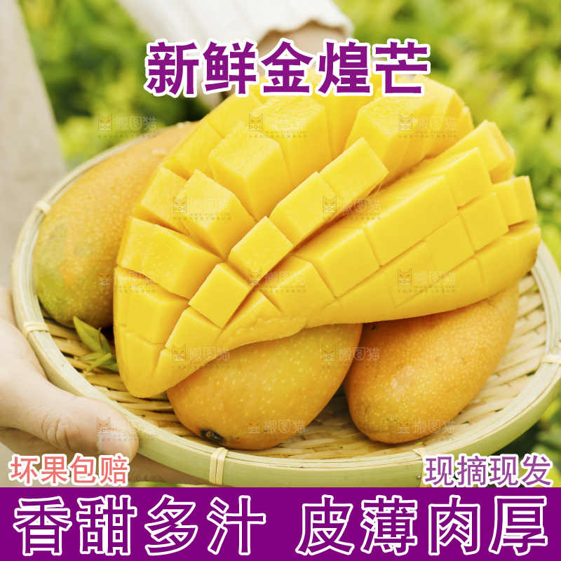 手里端着一篮海南金煌芒