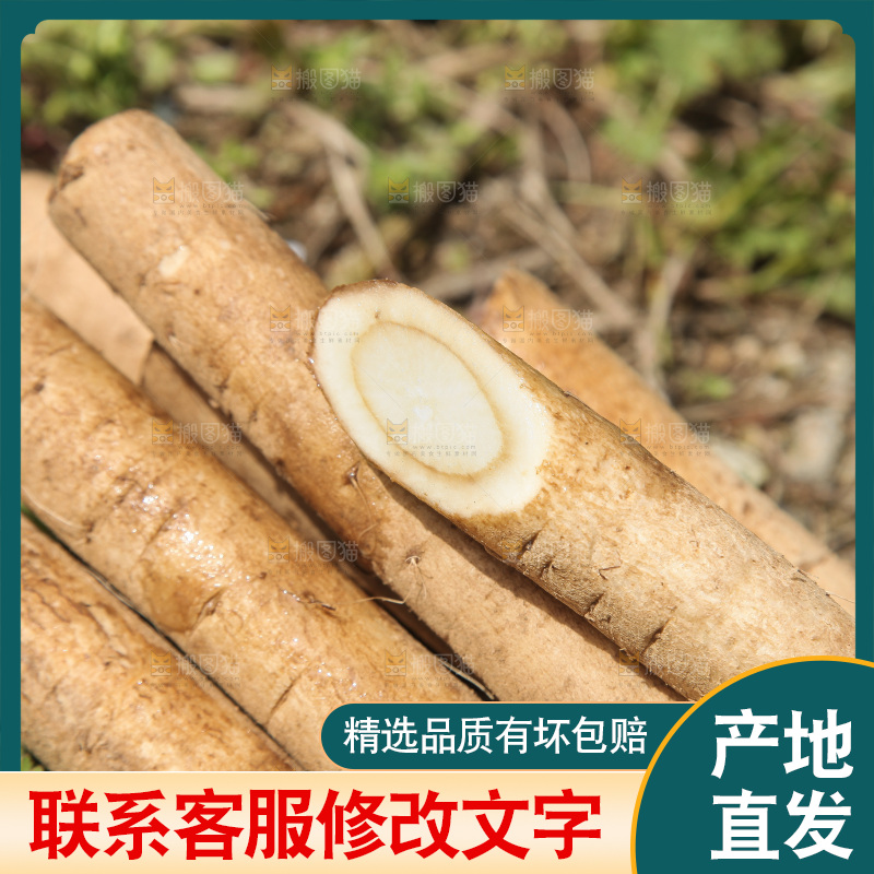 地上放着牛蒡根