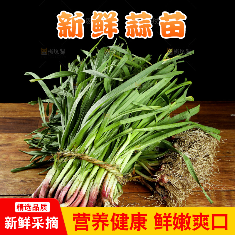 木底上放着新鲜蒜苗
