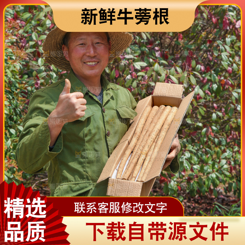 农民手里拿着一箱牛蒡根