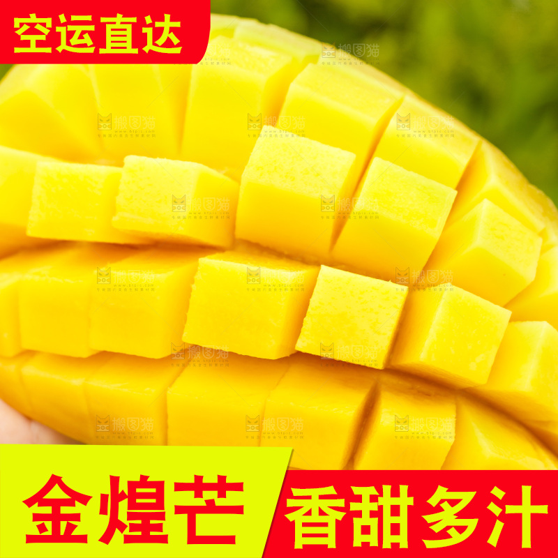 手里拿着切开的海南金煌芒
