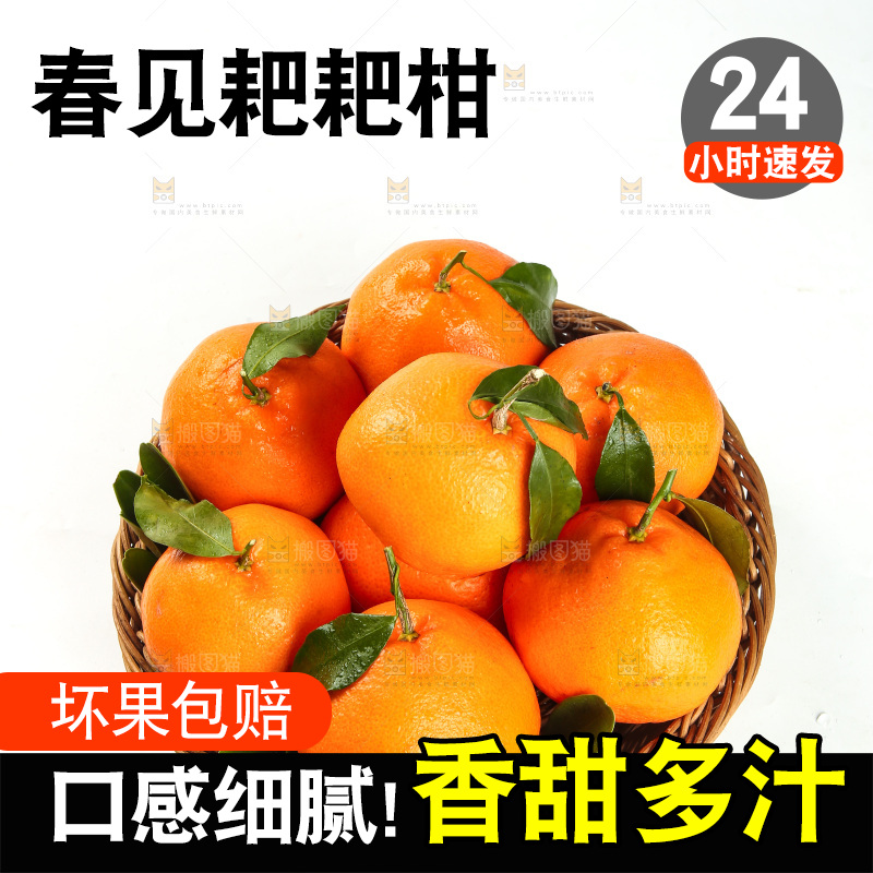 篮子里的耙耙柑