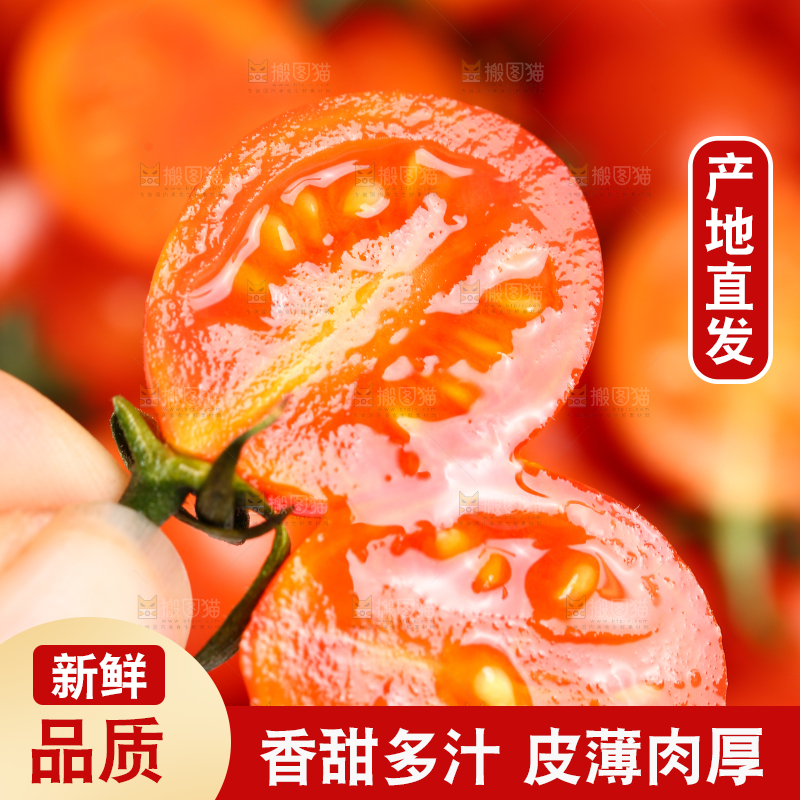 手里拿着切开的珠珠小番茄