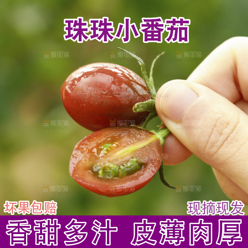 手里拿着珠珠小番茄