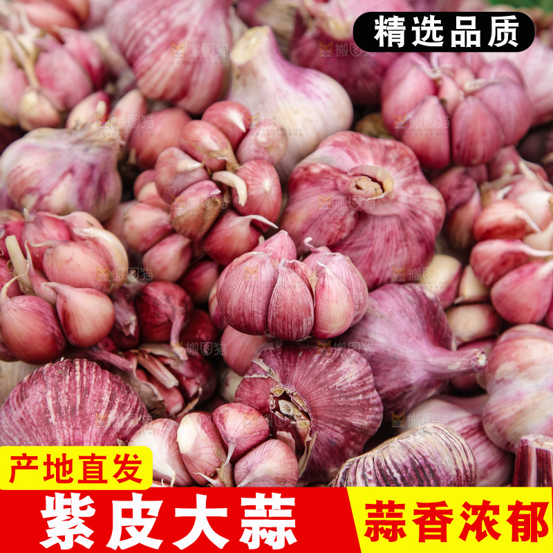 一篓新鲜紫皮大蒜