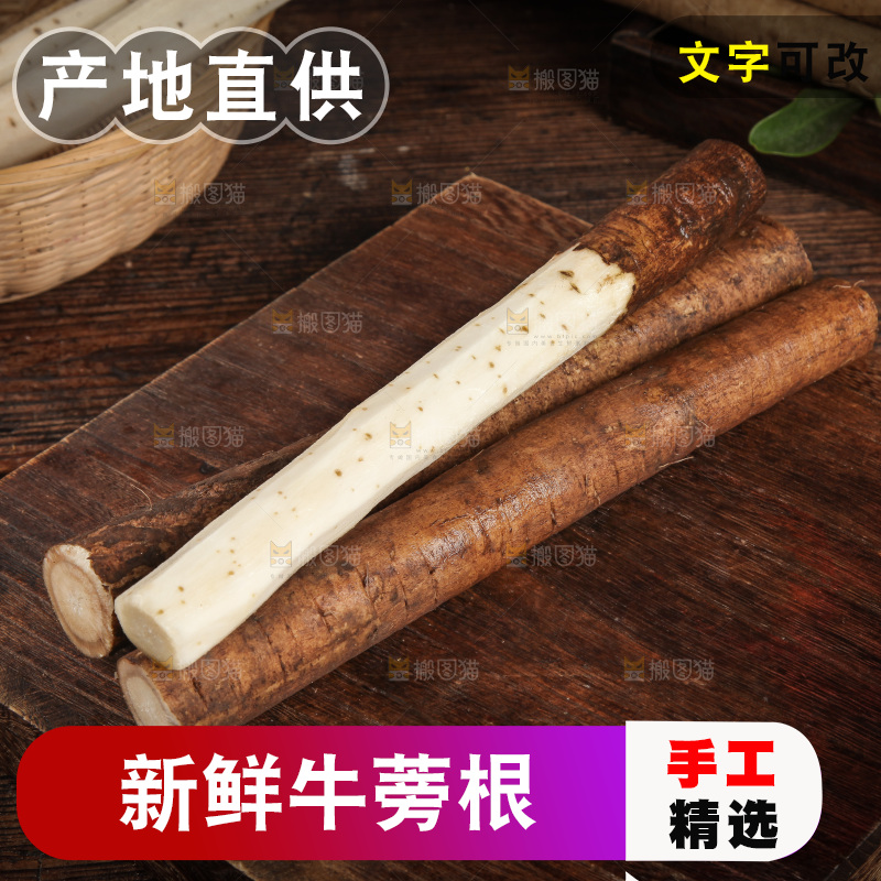 木底上的黄皮牛蒡根