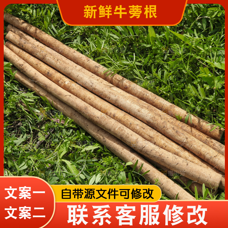 草地上放着山东苍山牛蒡